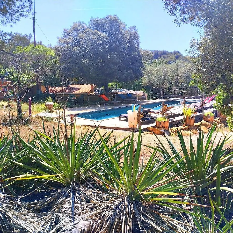 Arche De Noe Atypique, Boheme , Nature, Piscine Chauffee De Paques A Toussaint , Spa , Sauna , Loisirs Le Beausset 0*,