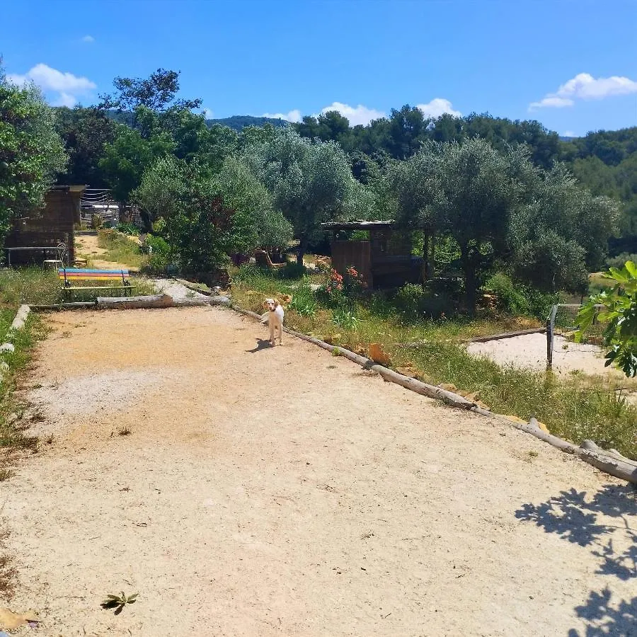 Arche De Noe Atypique, Boheme , Nature, Piscine Chauffee De Paques A Toussaint , Spa , Sauna , Loisirs Le Beausset Guest house