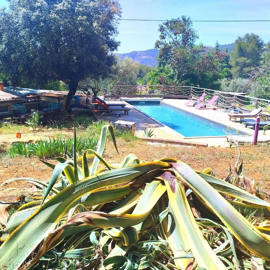 Guest house Arche De Noe Atypique, Boheme , Nature, Piscine Chauffee De Paques A Toussaint , Spa , Sauna , Loisirs Le Beausset France